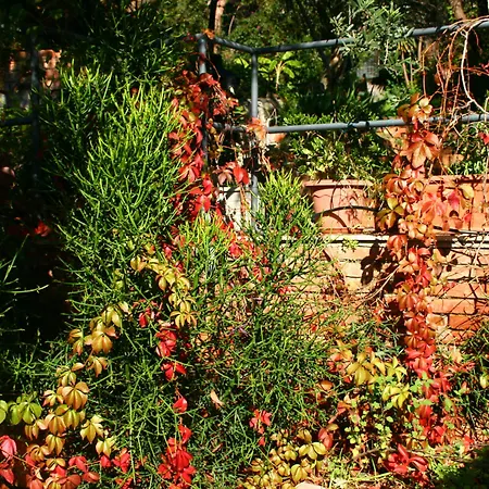 Pupi Catania Etna 3*